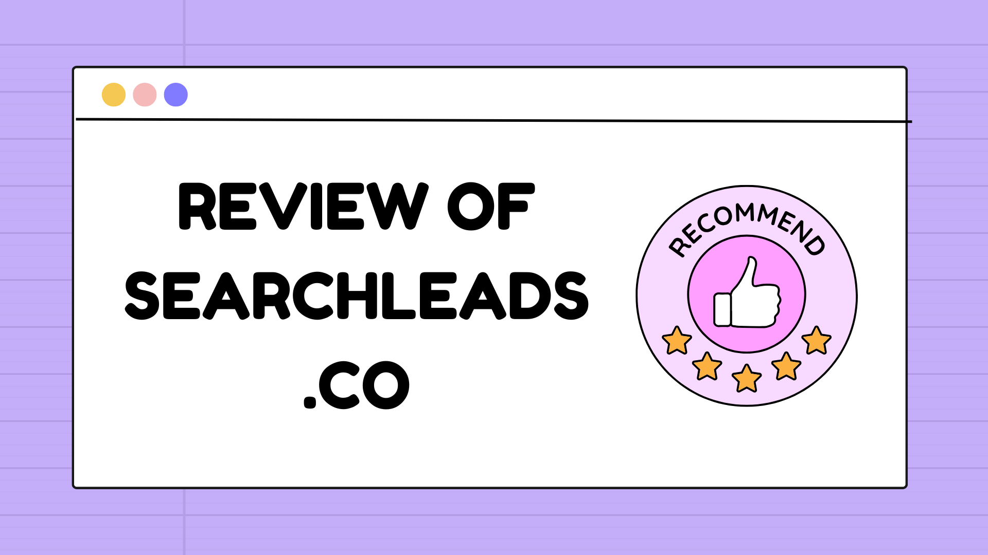 Review of SearchLeads.co